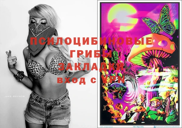 MDMA Premium VHQ Бронницы